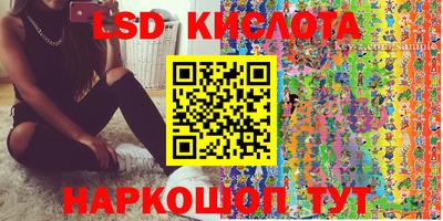 крисы Камышлов
