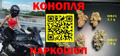 крисы Камышлов