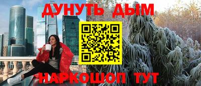 крисы Камышлов