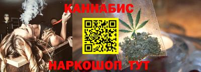 крисы Камышлов