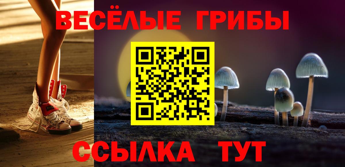 Кудымкар  Галлюциногенные грибы мицелий  Вход с VPN  Галлюциногенные грибы Magic Shrooms 