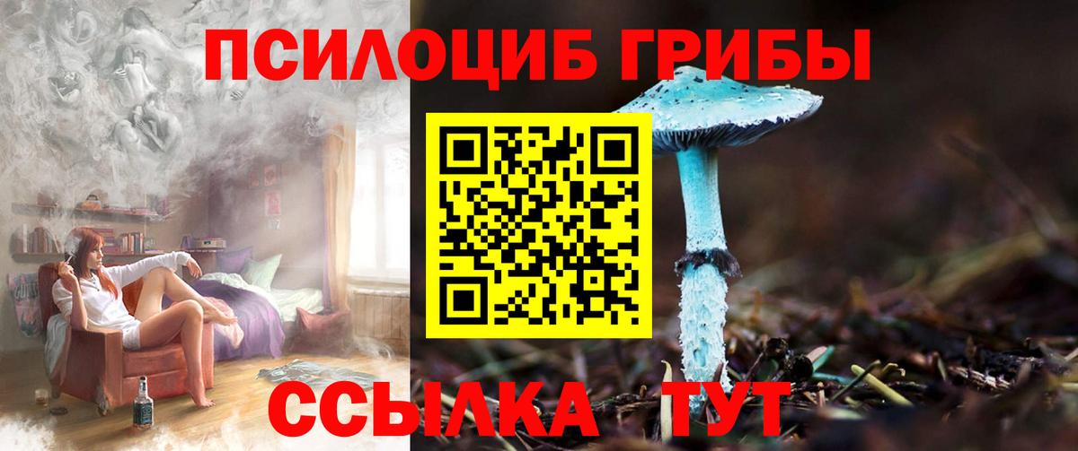 Псилоцибиновые грибы мицелий Кудымкар